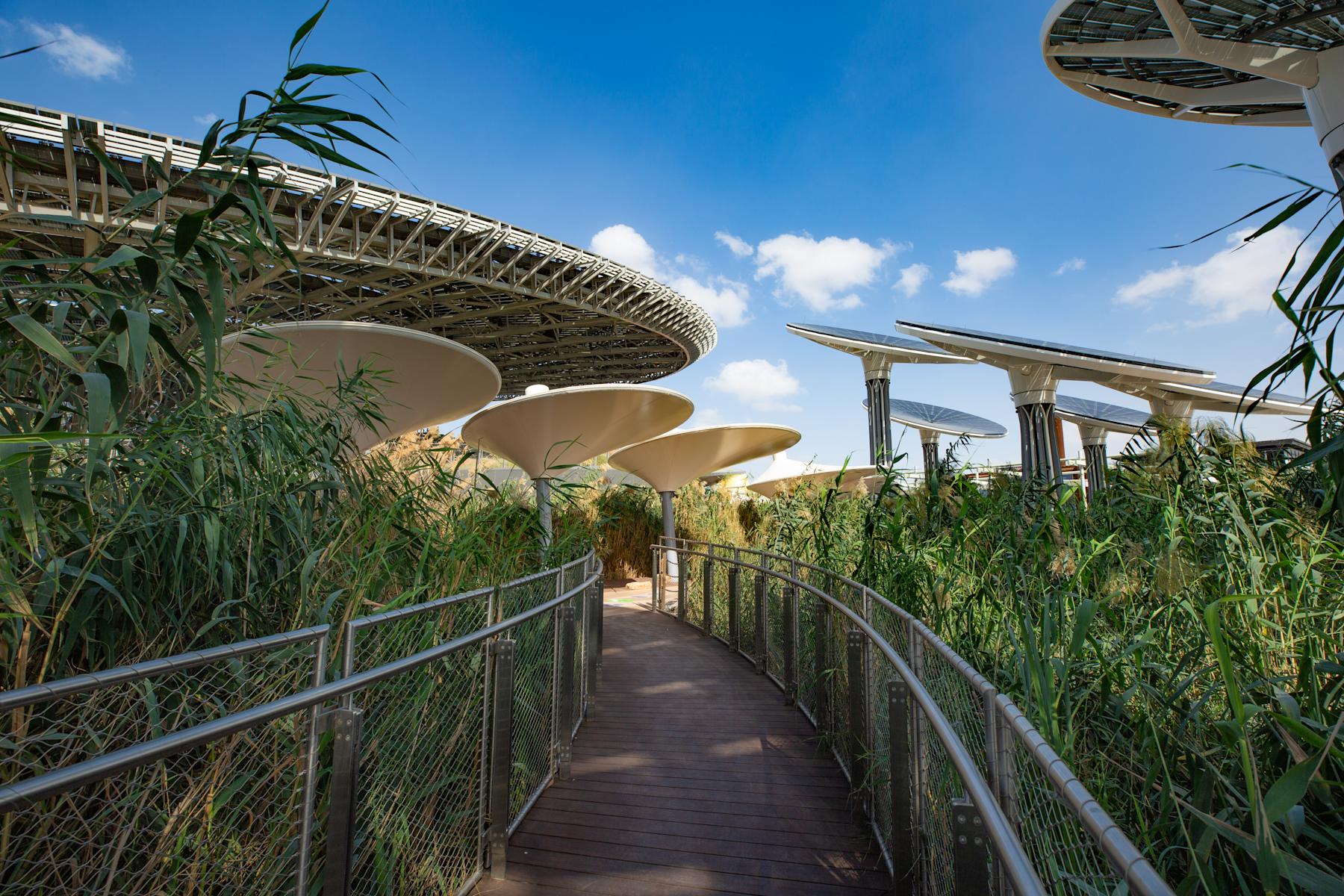 A boardwalk through reeds toward Terra’s solar canopy at Expo City Dubai